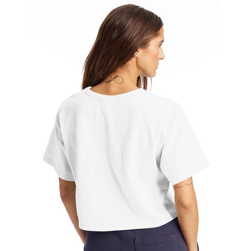 Dozing & Dinner Dungeon Meowster - Funny Cat