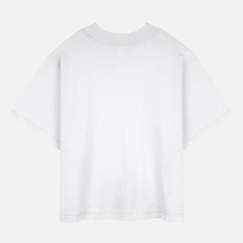 Brazil Flag in Brazil Map