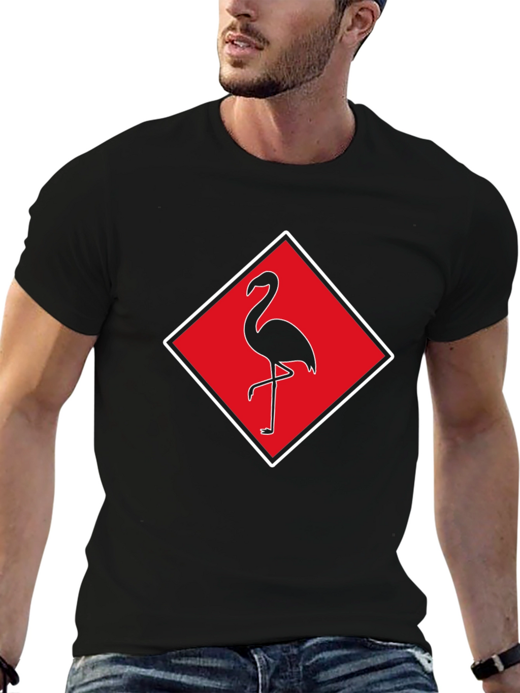 Flamingo Graphic Tee - Stylish Mens Black T-Shirt