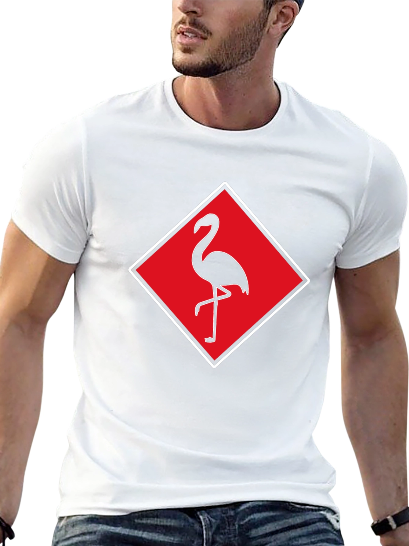 Flamingo Graphic Tee - Stylish Mens Black T-Shirt