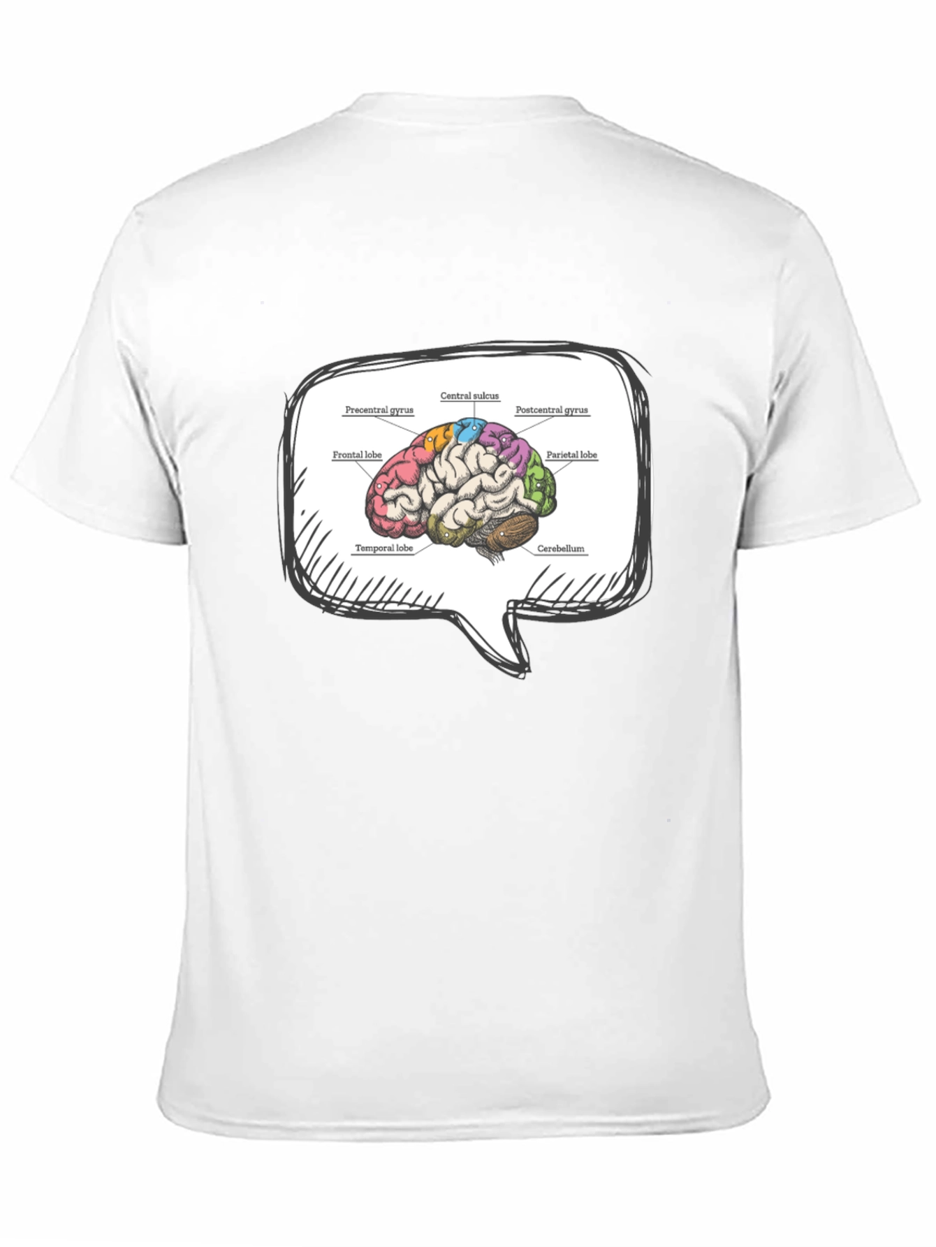 Brain Anatomy T-Shirt - Neurology Student Apparel