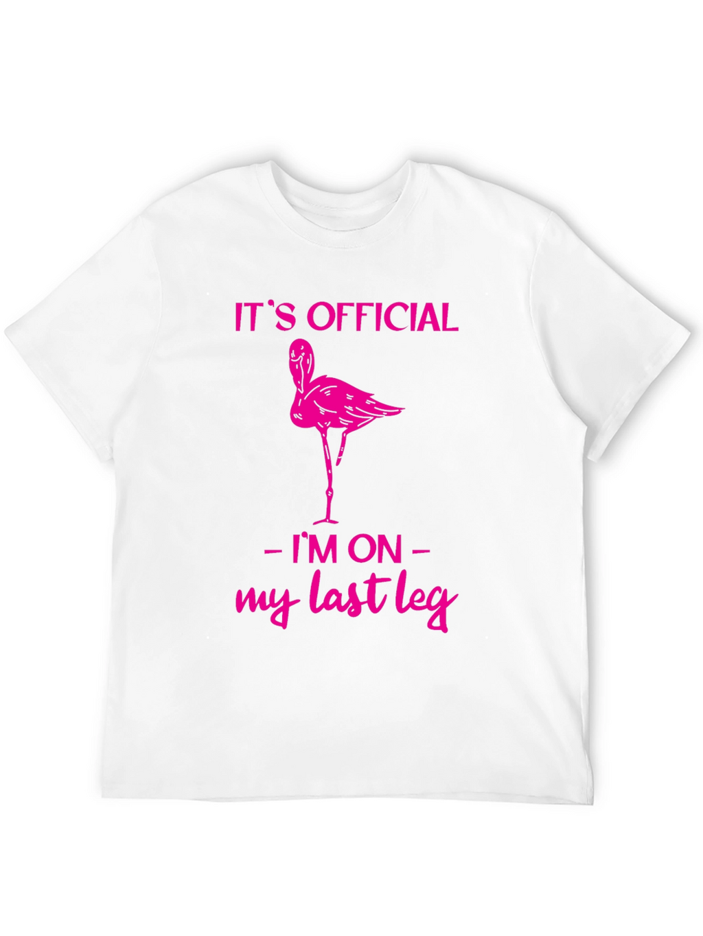 Funny Flamingo Last Leg T-Shirt