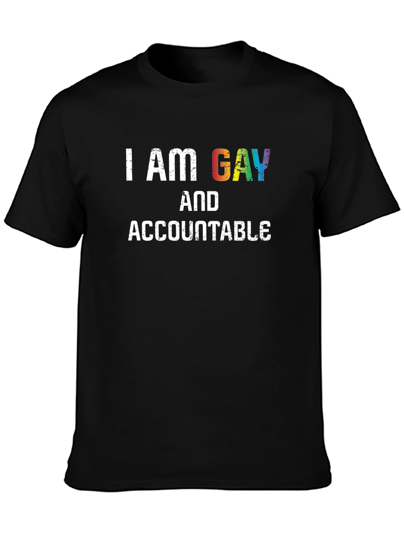I Am Gay And Accountable Pride T-Shirt