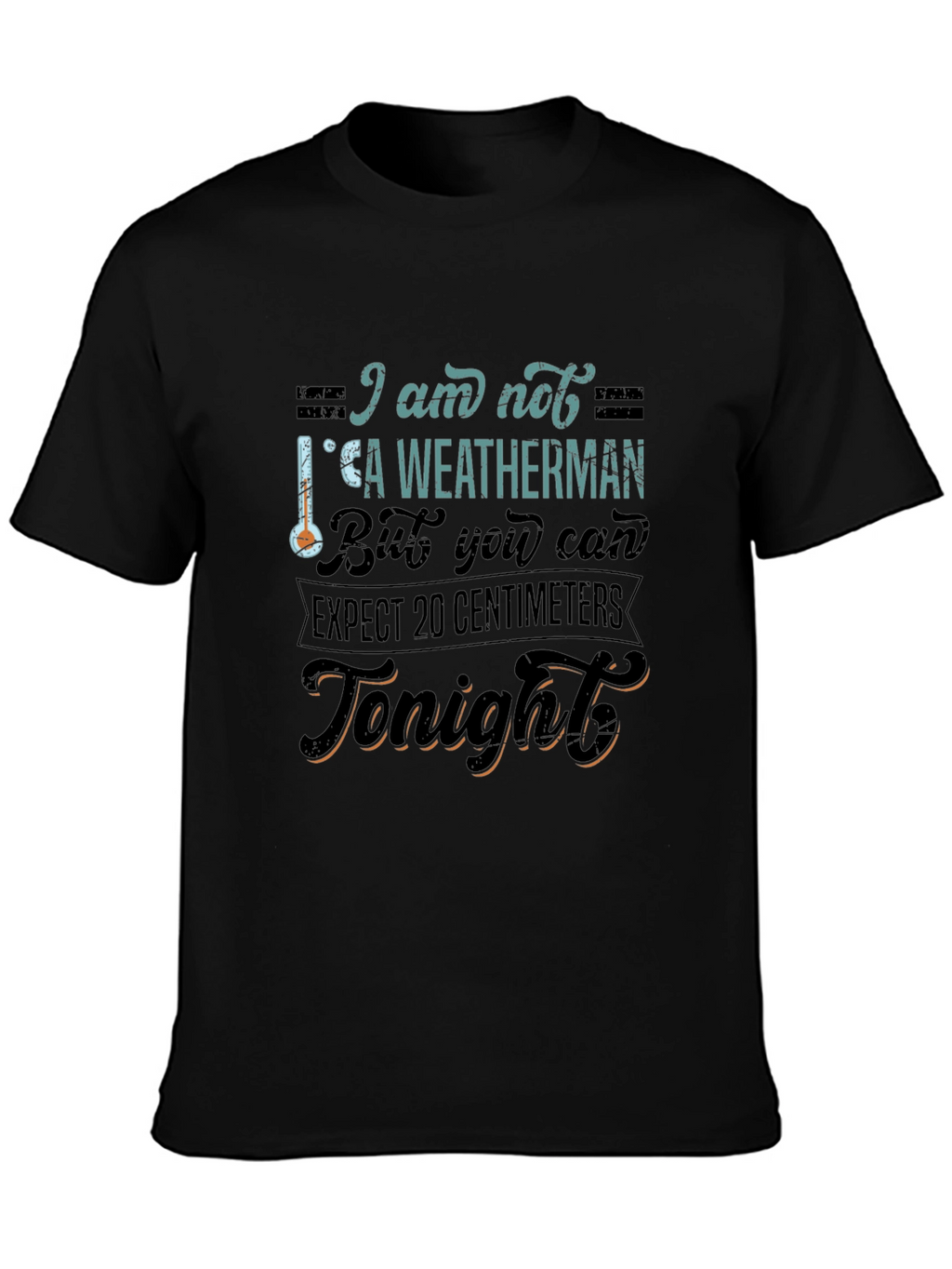 Funny Weatherman Graphic Tee - Expect 20 Centimeters