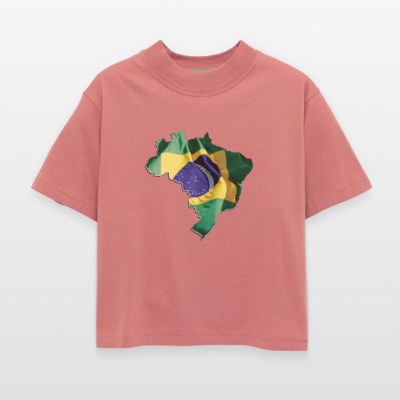 Brazil Flag in Brazil Map