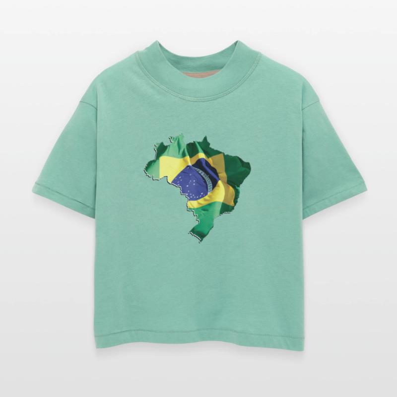 Brazil Flag in Brazil Map