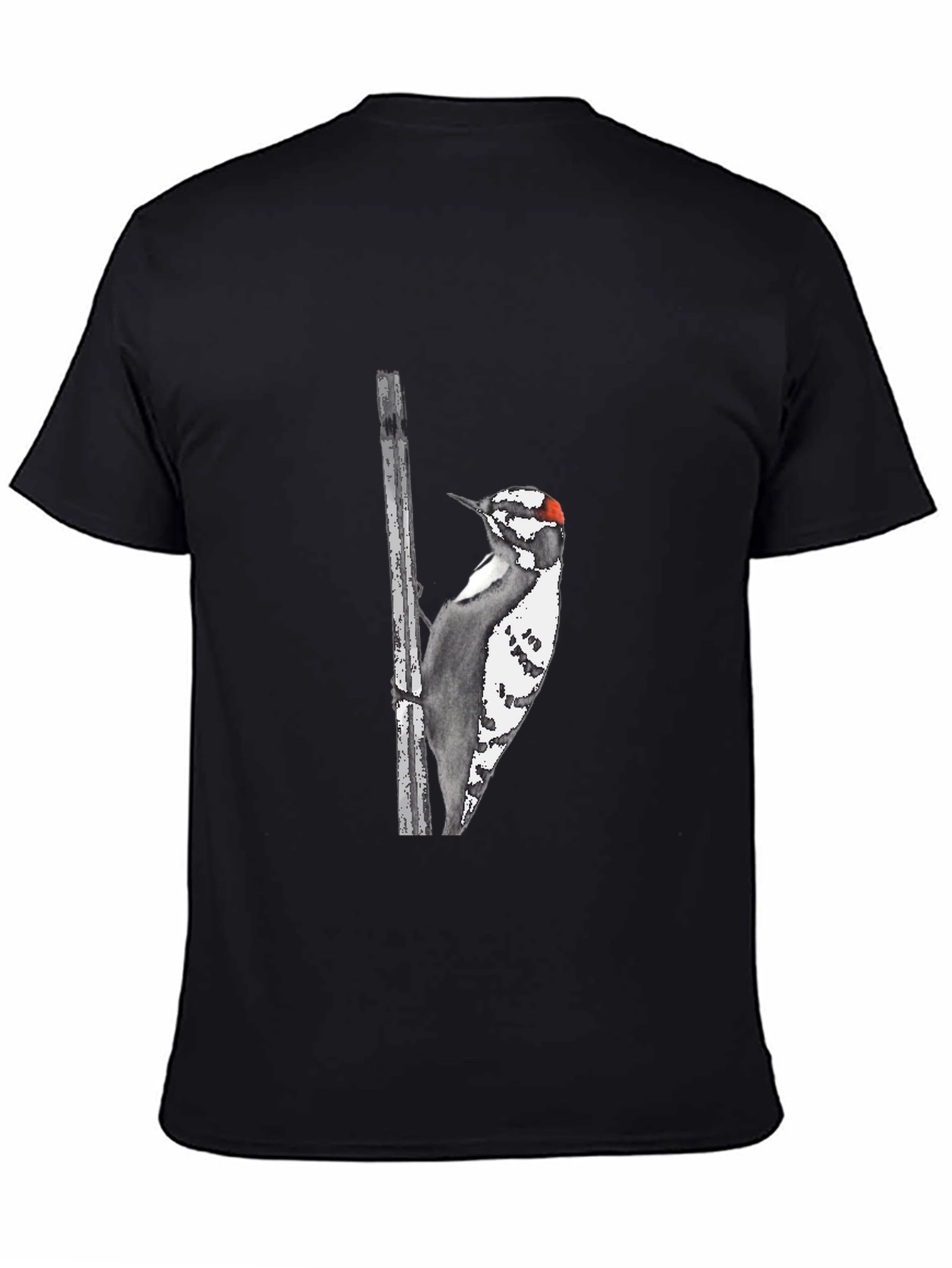 Downy Woodpecker Graphic Tee - Black