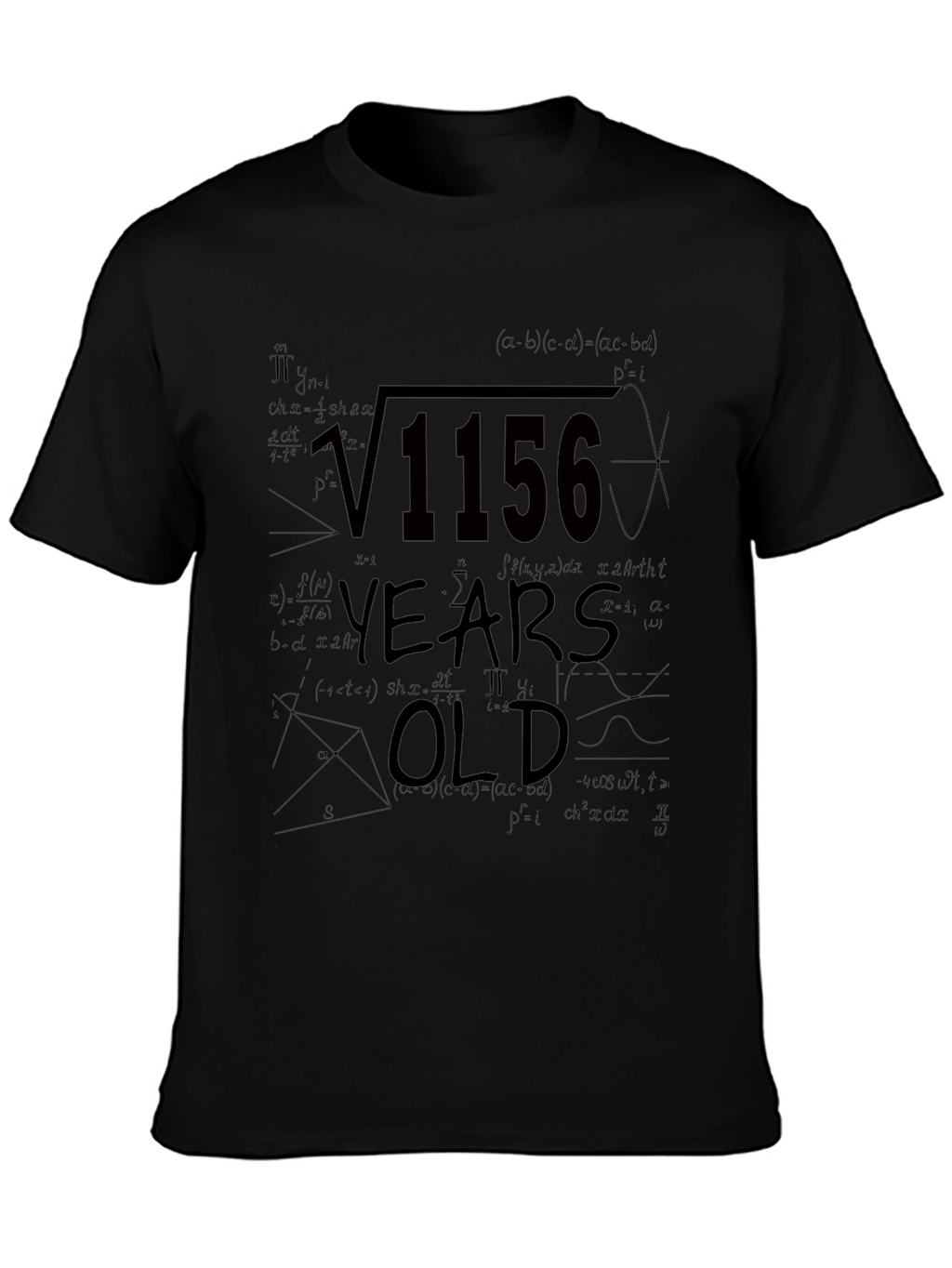 Math Birthday Humor T-Shirt