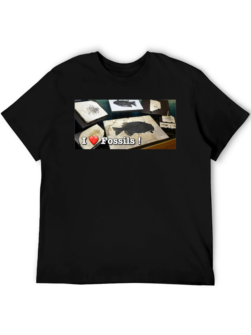 I Love Fossils T-Shirt