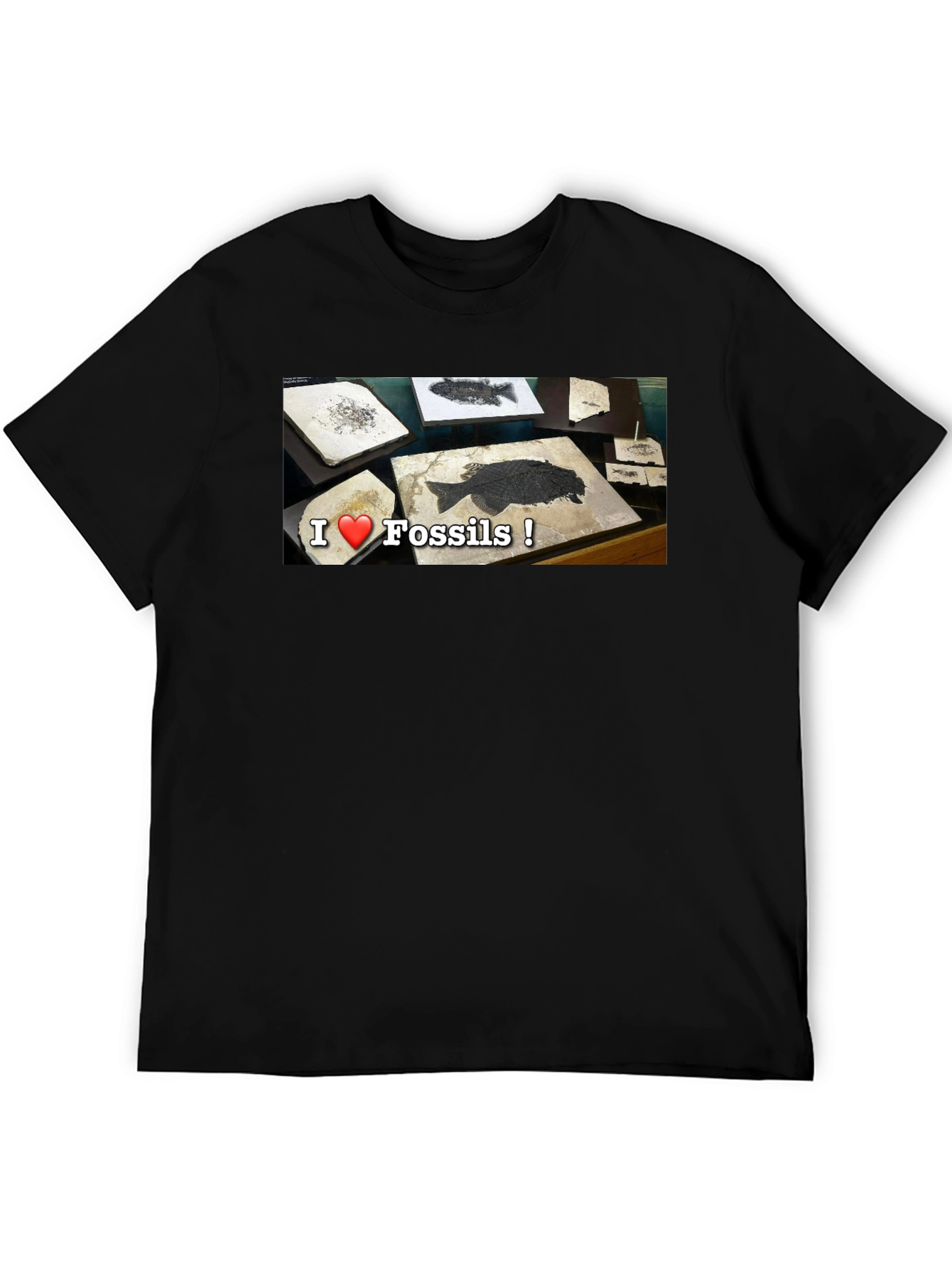 I Love Fossils T-Shirt