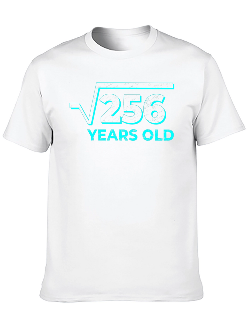 Funny 16th Birthday T-Shirt - Square Root of 256