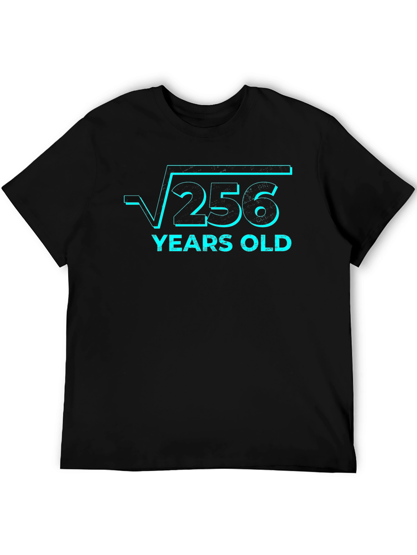 Funny 16th Birthday T-Shirt - Square Root of 256