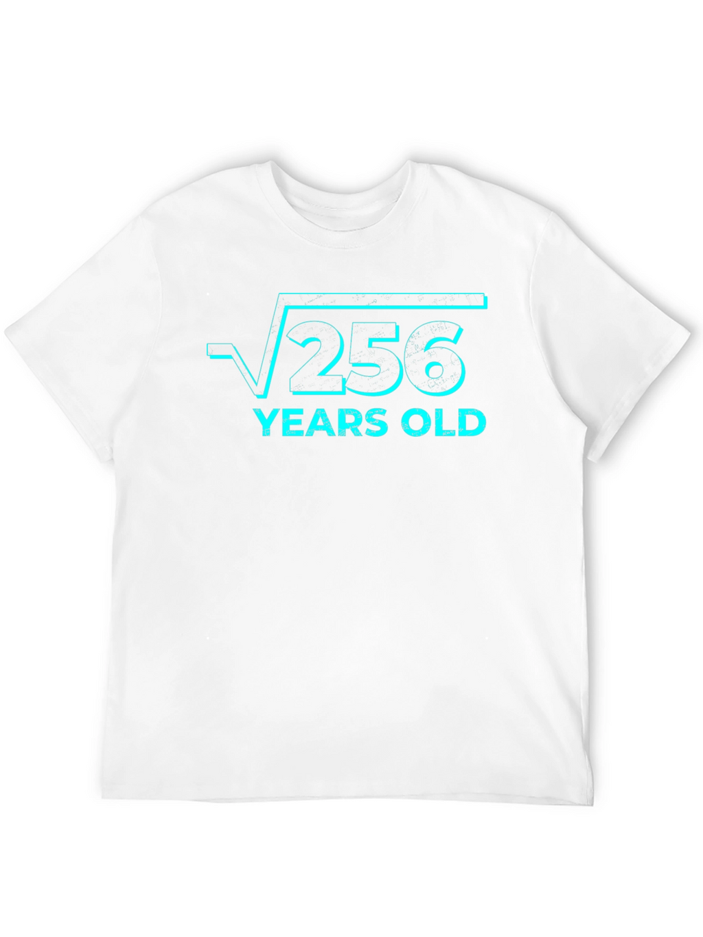 Funny 16th Birthday T-Shirt - Square Root of 256