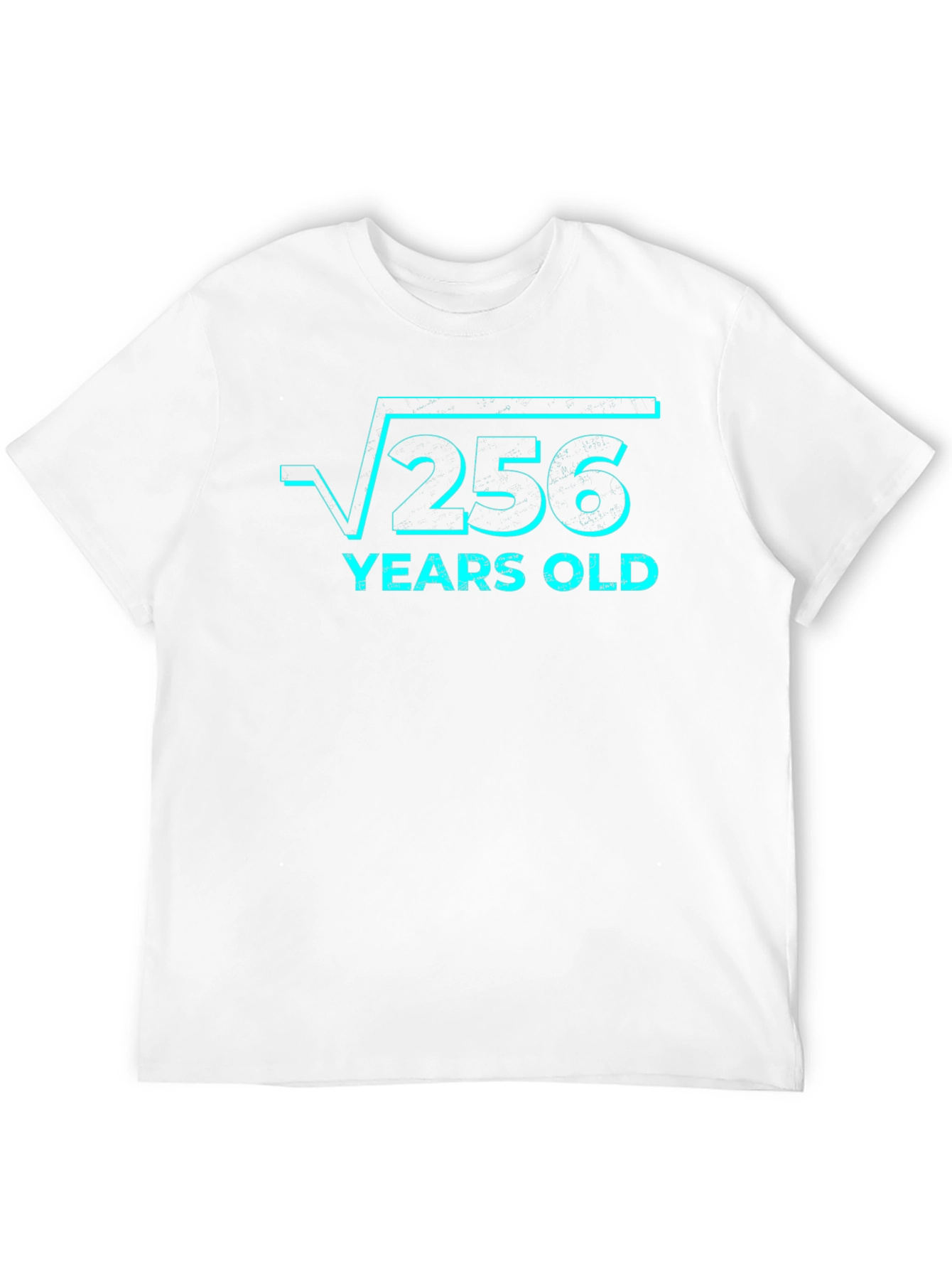 Funny 16th Birthday T-Shirt - Square Root of 256