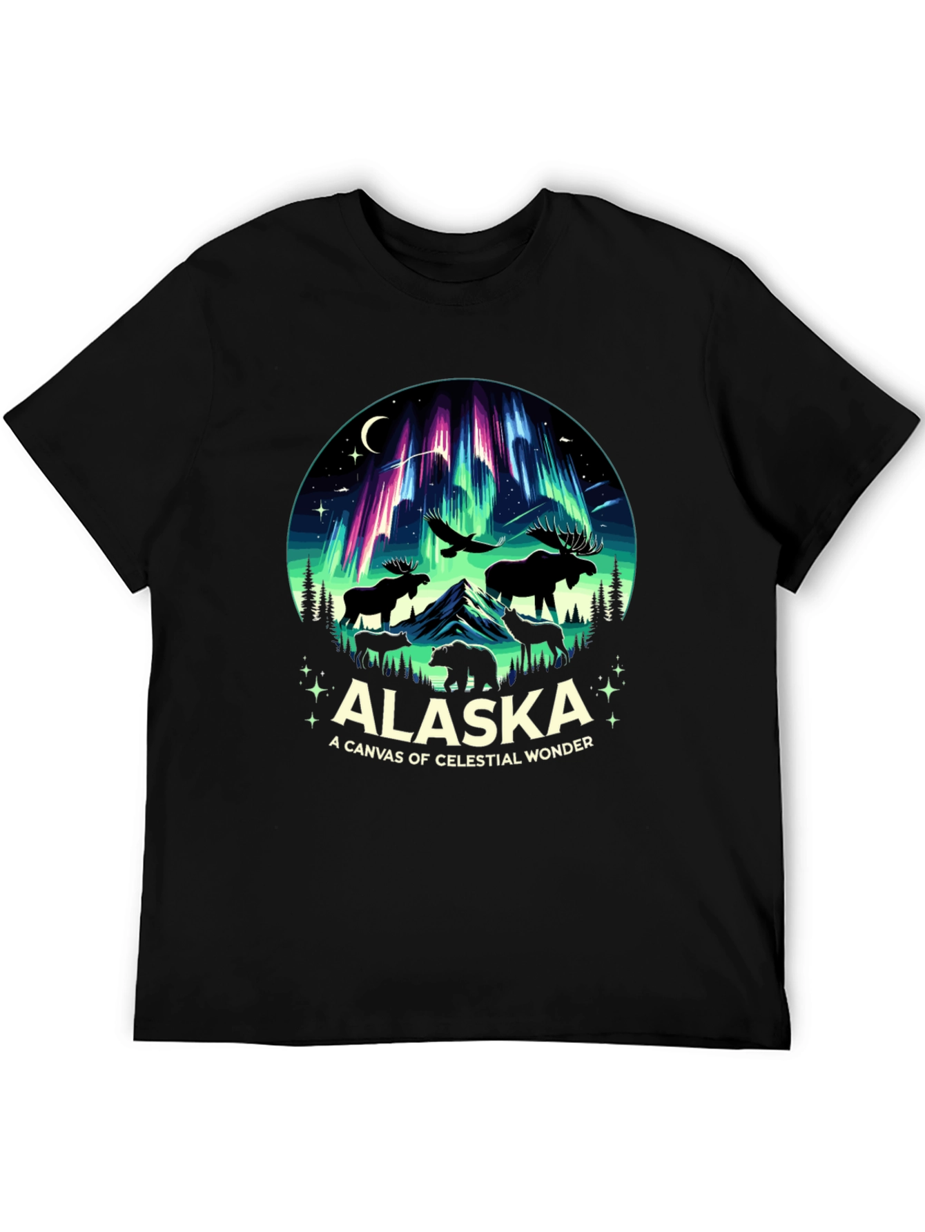 Alaska Celestial Wonder Graphic Tee