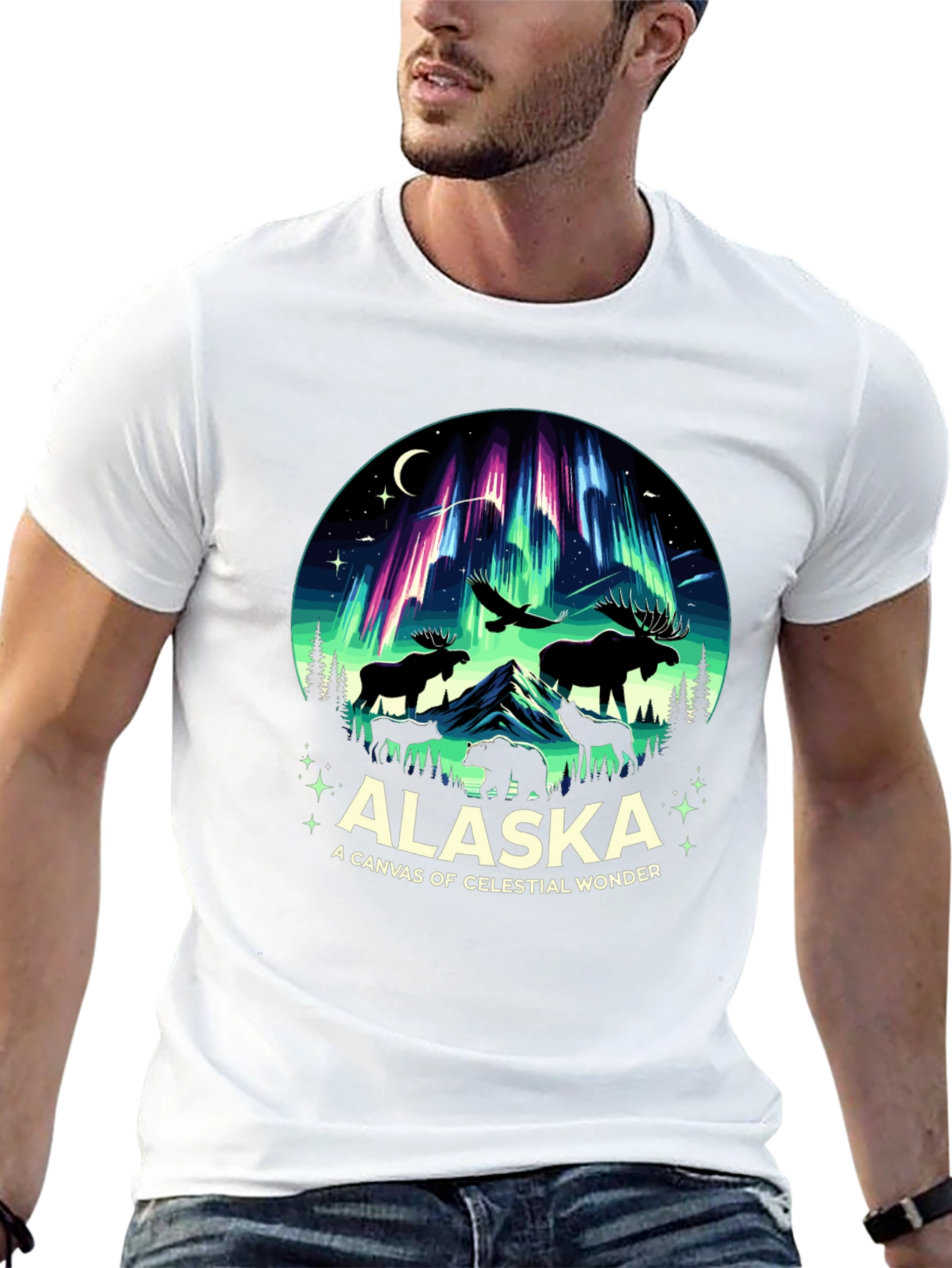 Alaska Celestial Wonder Graphic Tee