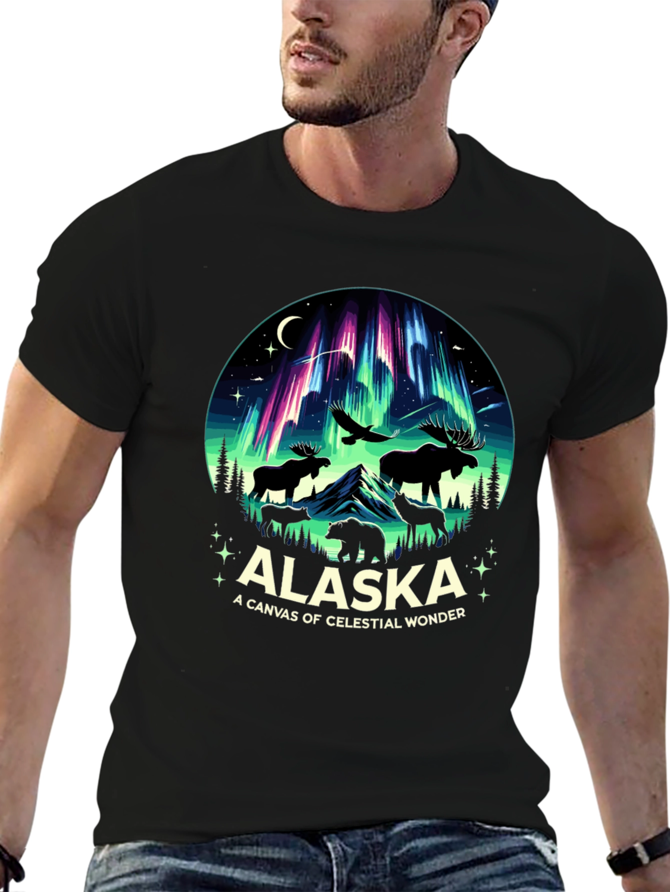 Alaska Celestial Wonder Graphic Tee