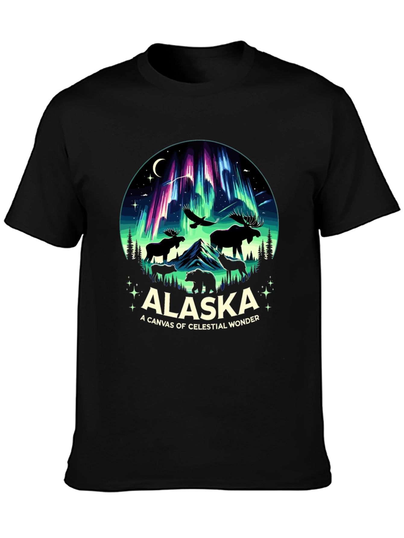 Alaska Celestial Wonder Graphic Tee