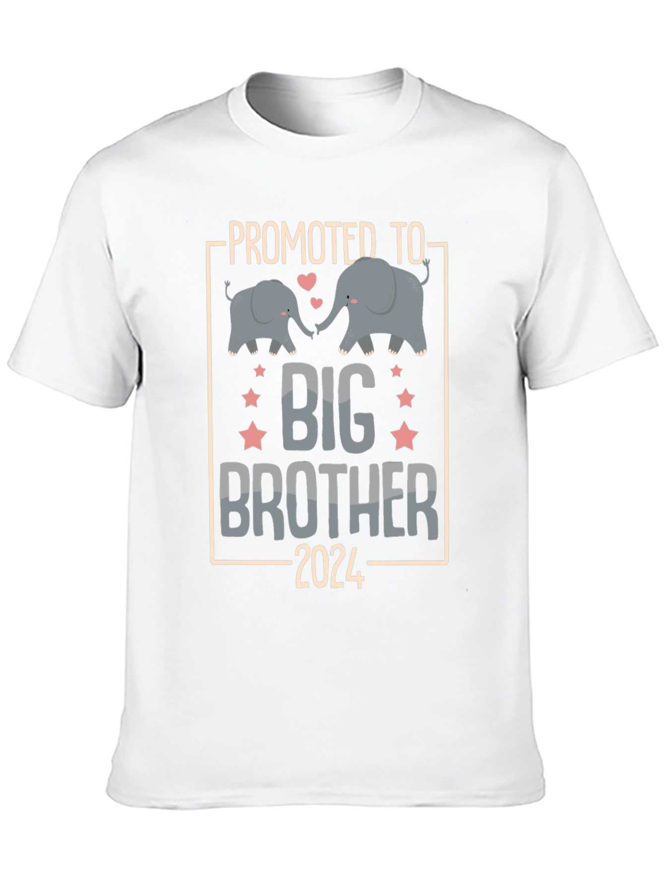 Promoted to Big Brother 2024 T-Shirt