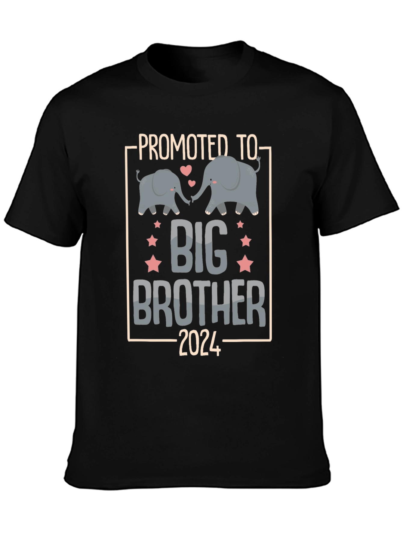Promoted to Big Brother 2024 T-Shirt