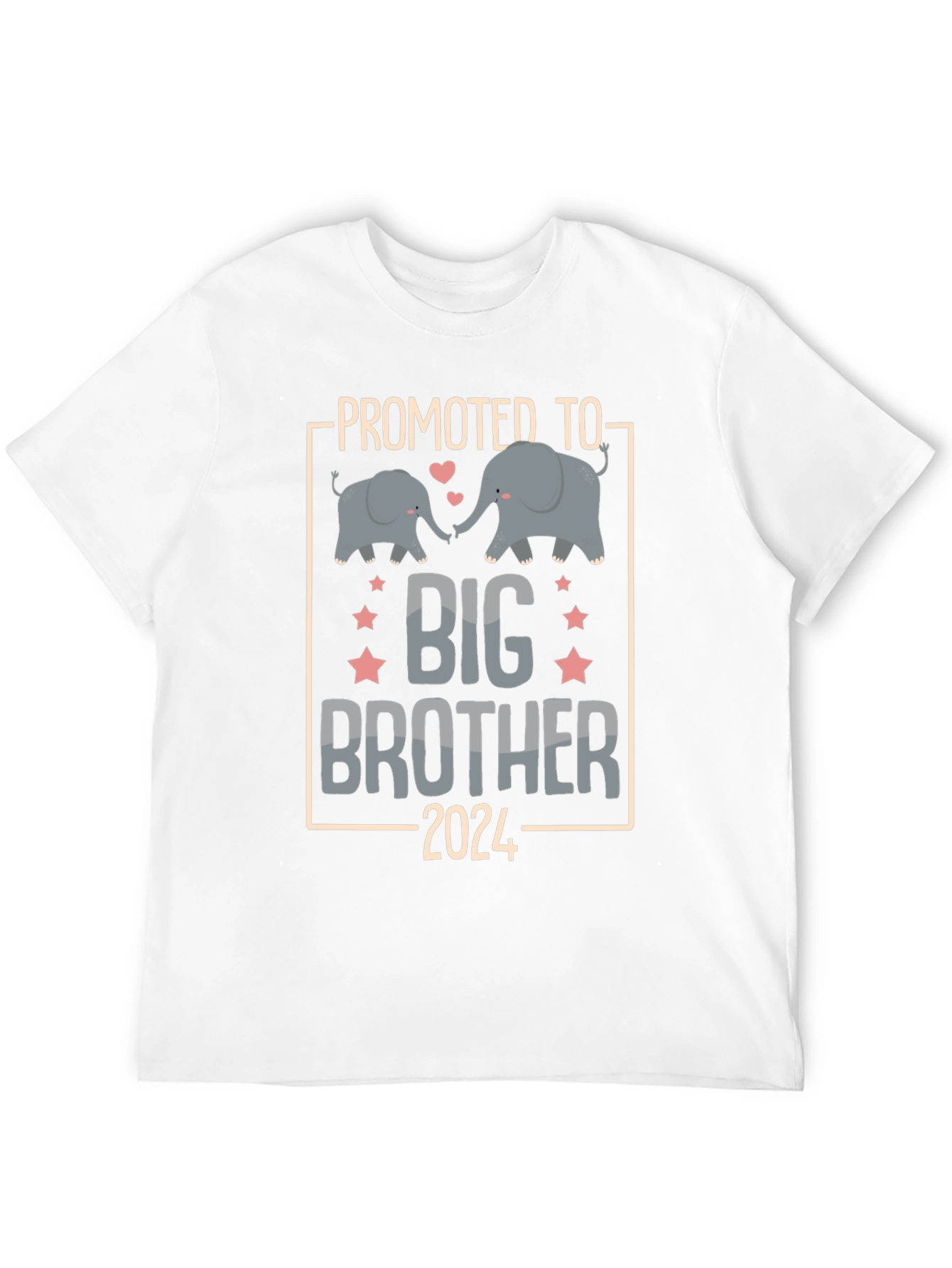 Promoted to Big Brother 2024 T-Shirt