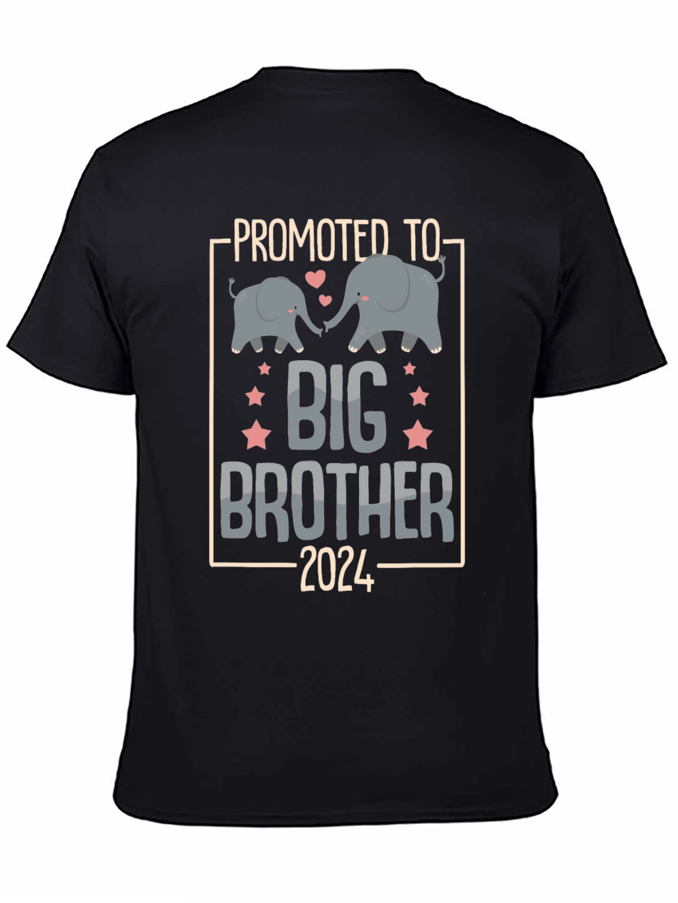 Promoted to Big Brother 2024 T-Shirt