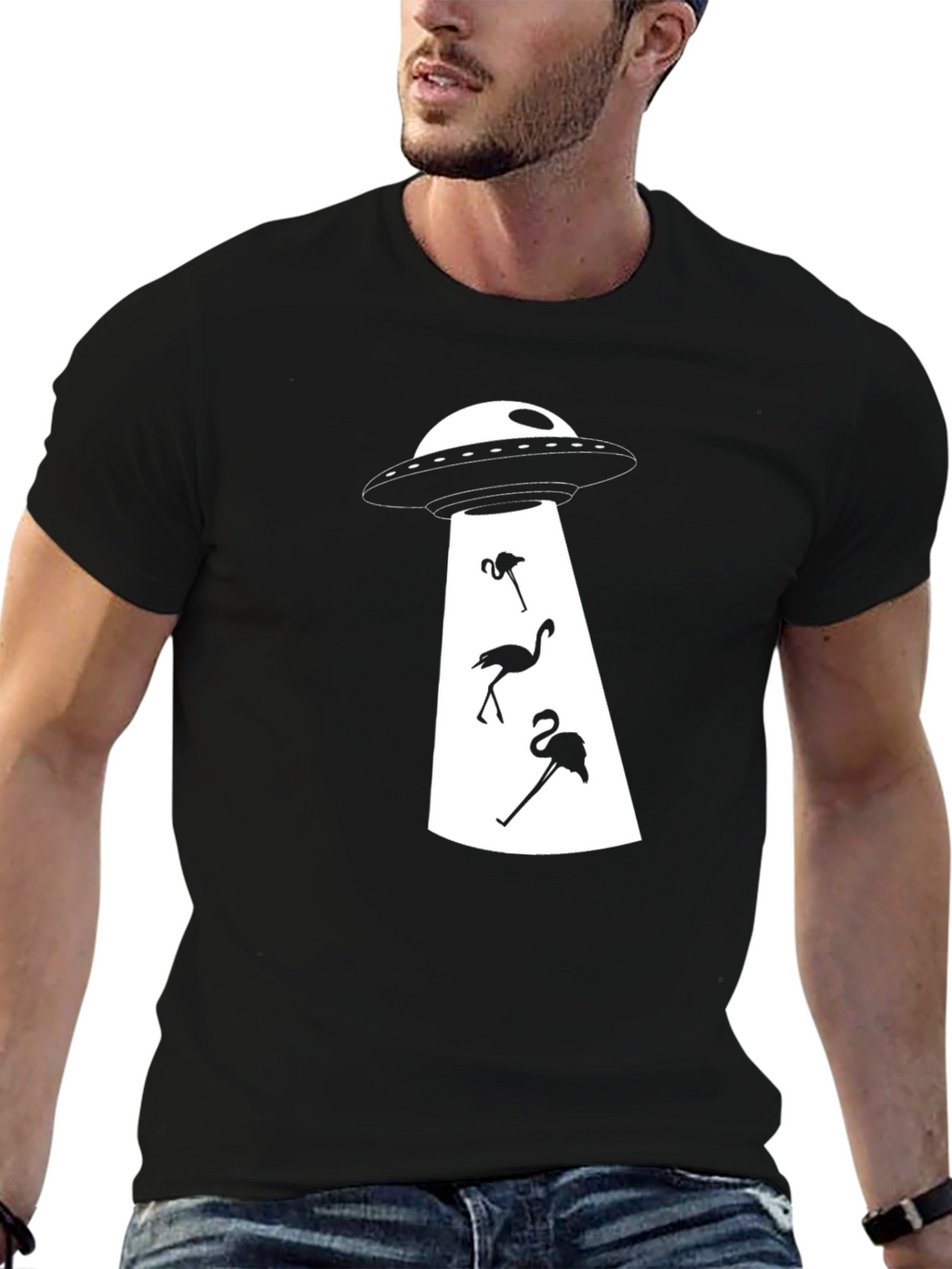 UFO Abduction Flamingo Graphic T-Shirt - Black