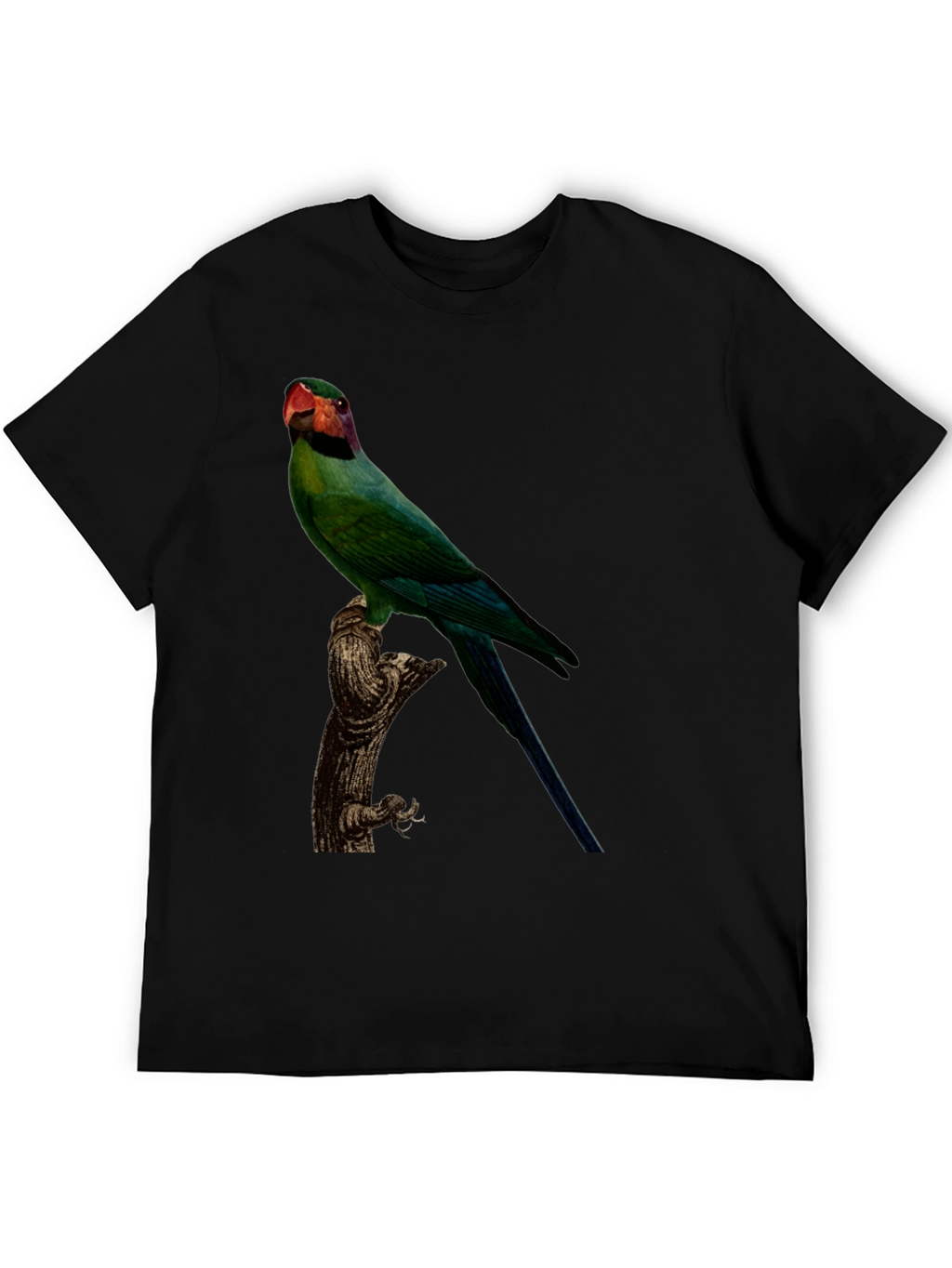 Parrot Graphic Tee - Black Cotton T-Shirt