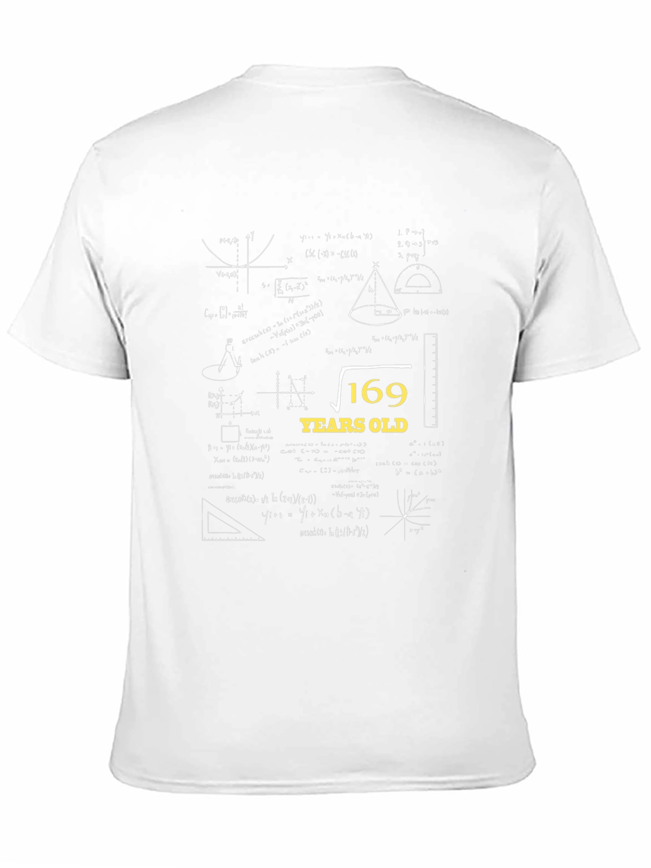 Square Root 169 Years Old T-Shirt