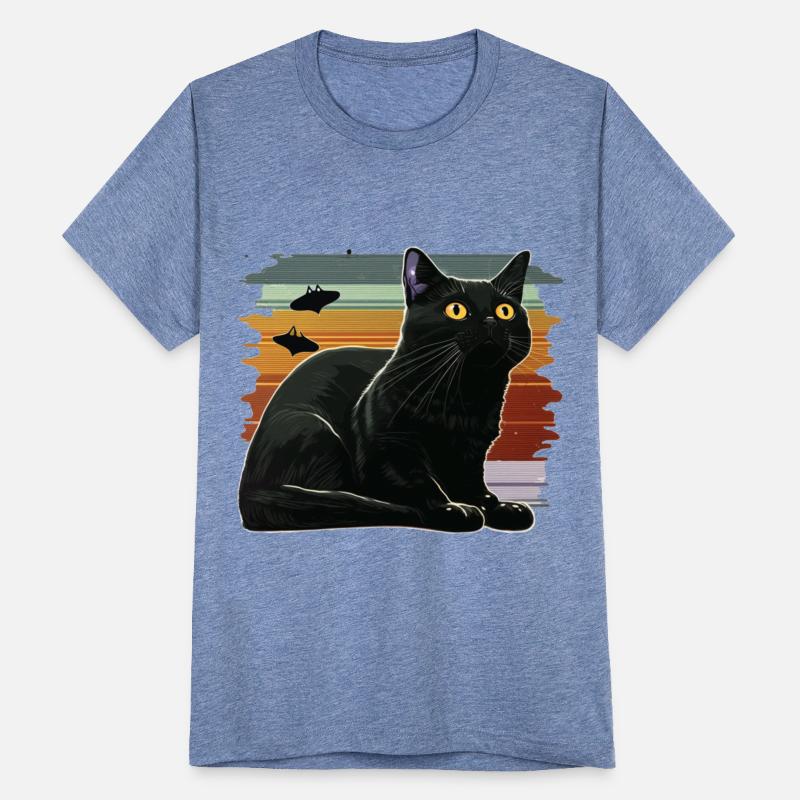 The UFO Black Cat