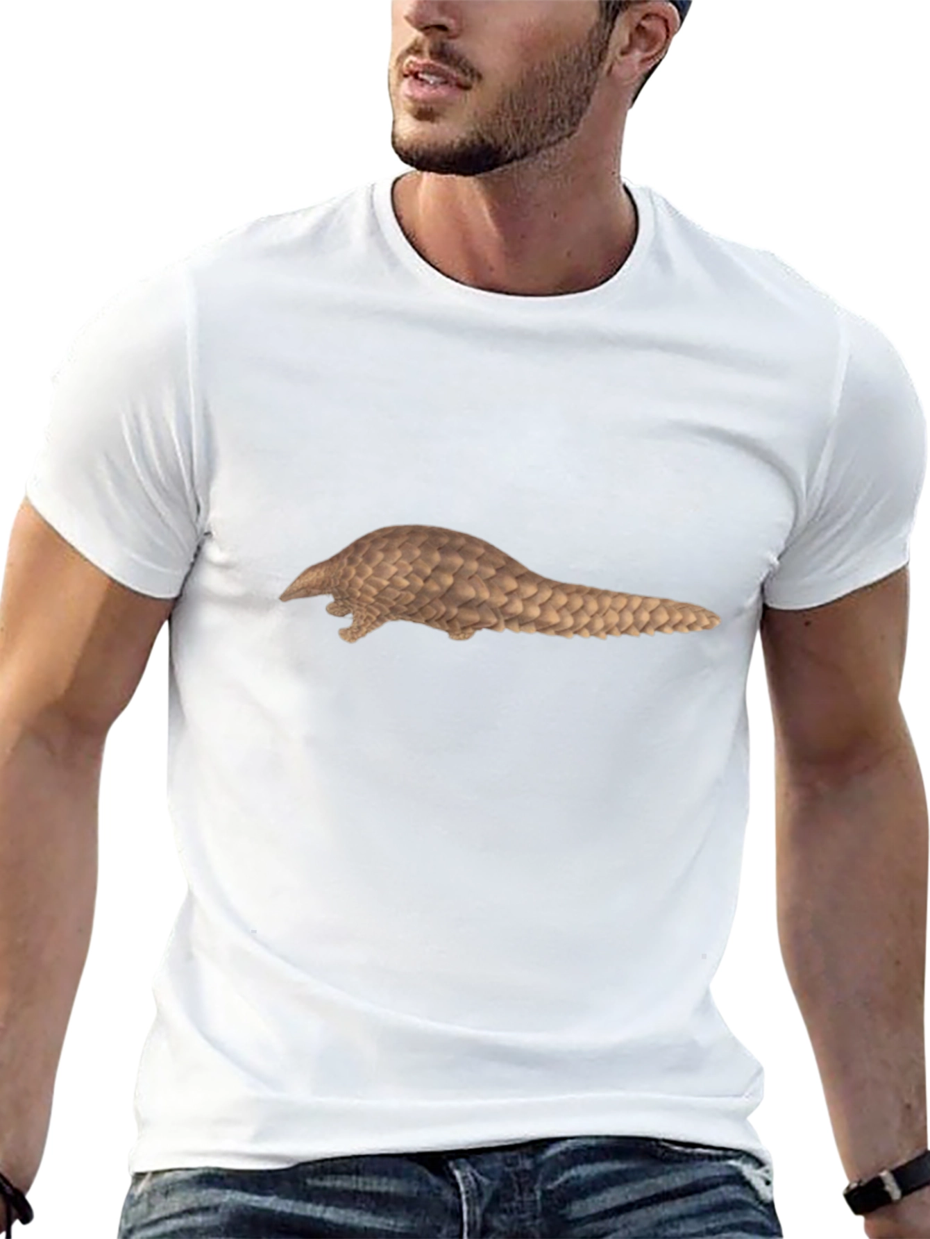 Cool Pangolin Graphic Tee - Black Cotton Shirt