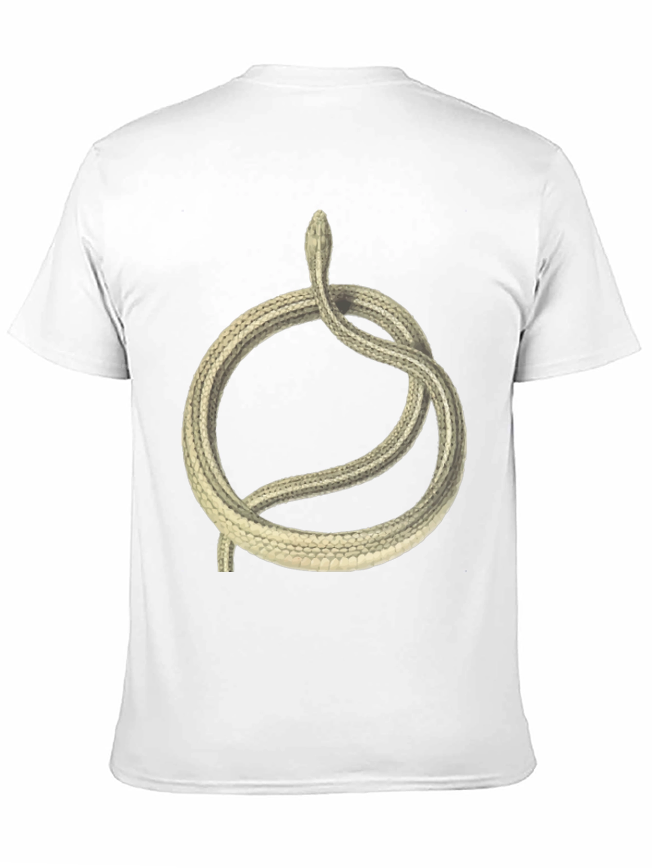Black T-Shirt with Coiled Snake Design