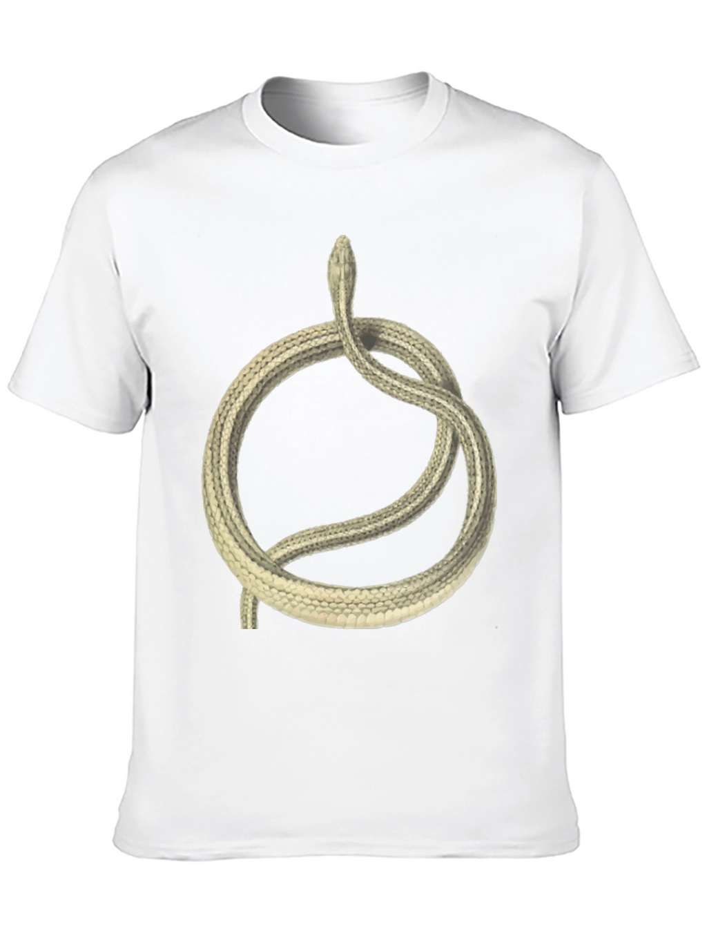 Black T-Shirt with Coiled Snake Design