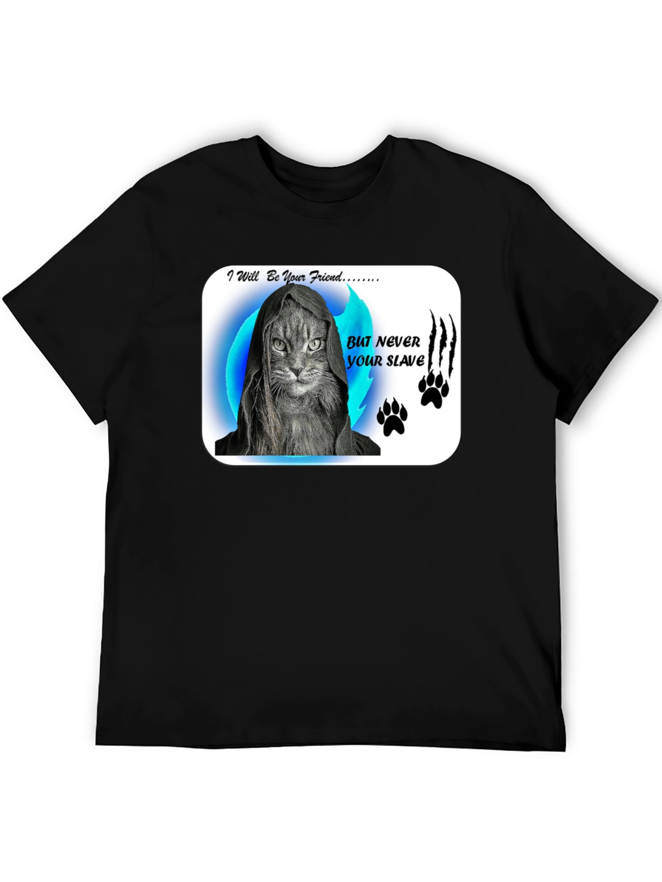 Friend Not Slave Cat T-Shirt