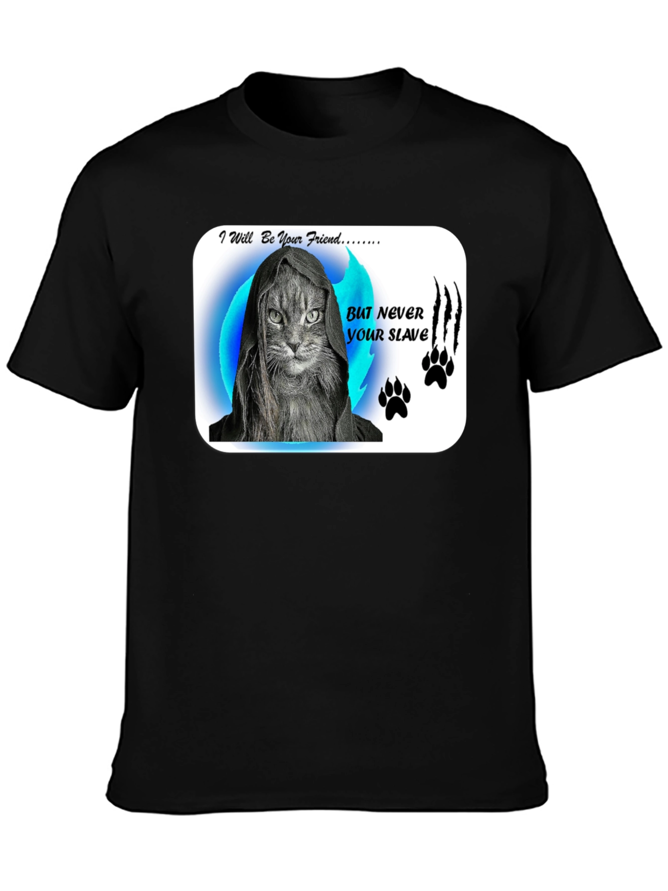 Friend Not Slave Cat T-Shirt